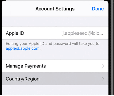 iPhone VPN 设置入口示意